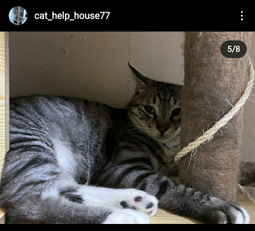 이 글을 보시면 알티 한 번 부탁 드리고 아이들이 좀 더 좋은 환경 속에서 생활 할 수 있도록 작은 도움 주시면 감사합니다. 해당 링크에 들어가시면 좀 더 자세한 사연을 알 수 있습니다.