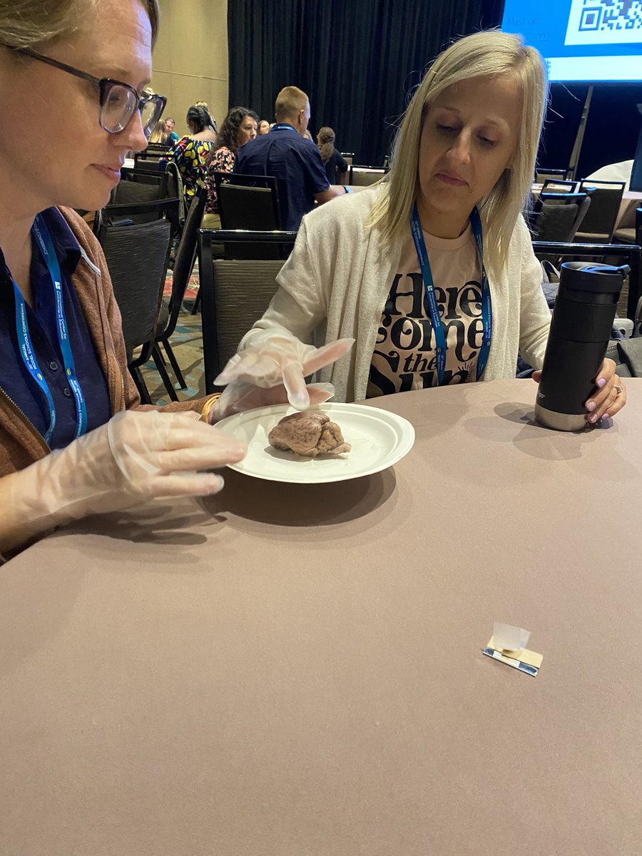 MrsLeckroneCE's tweet photo. Dissecting a sheep’s brain and collaborating as a Central Team at Model Schools! So lucky to learn and grow alongside this team! Added bonus…we got to listen to Dr. Jordan! @Lebanon_Schools @CenLeaderInMe #MSC2022 https://t.co/MCIvZV7UZH