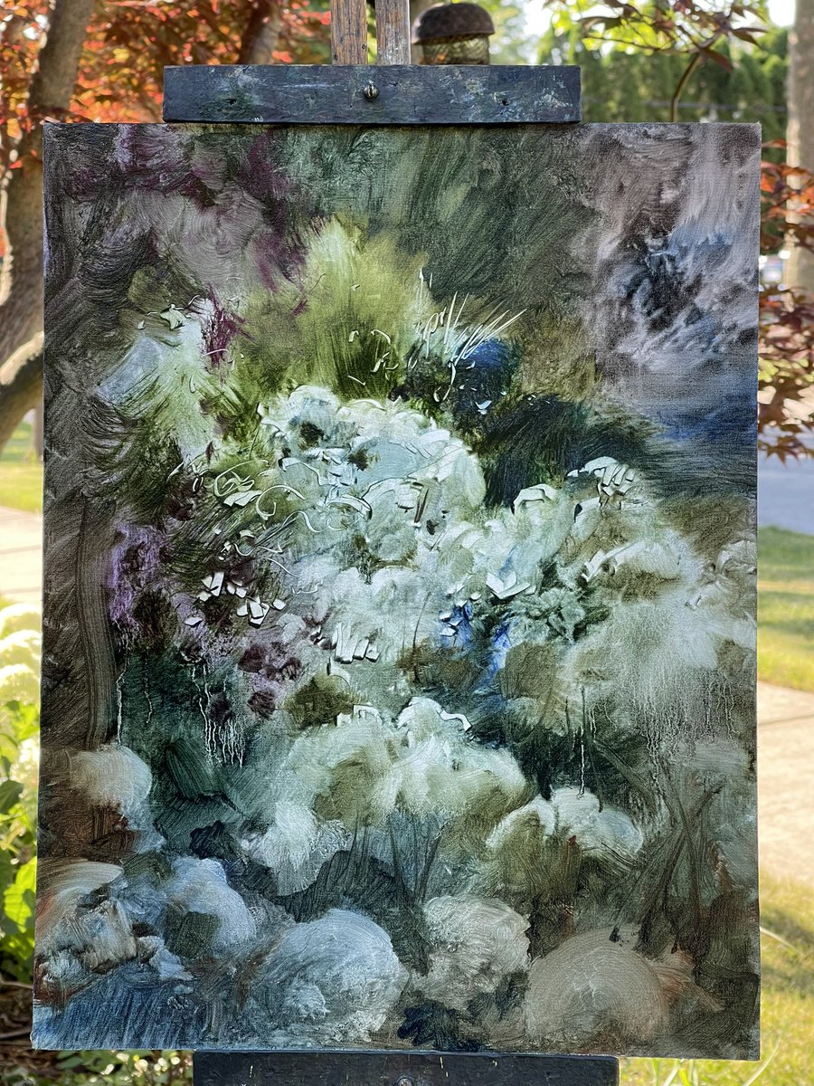 A beautiful gift of a morning to paint the Annabel hydrangeas with our purple clematis.
￼#pleinairpainting #oilsketch #underpainting #paintfromlife #oilpaintinglandscape #oilstudy #representationalpainting #oilpaintingart #paintingfromlife #allaprimapainting #hydrangea