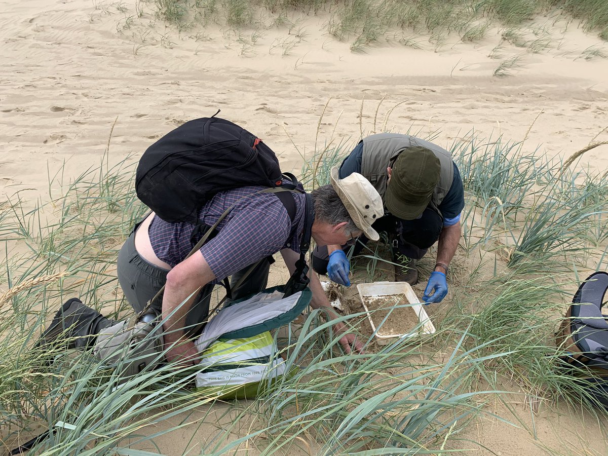 waters_ruth's tweet photo. Having a fantastic time at the #DNABioblitz generating new DNA ID evidence with @NHM_London and @NaturalEngland at Bure Marshes and Winterton NNR.  @NEChiefSci https://t.co/LWuITwJ91n
