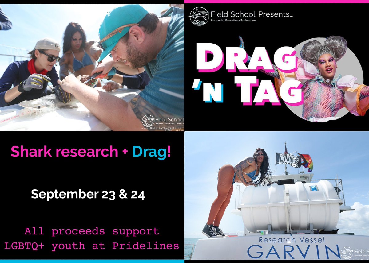 Field School (@field_school) on Twitter photo We’re back baby!! 2nd annual Drag ‘n Tag Sept. 23 & 24. Shark research event hosted by <a href="/theemisstoto/">future mrs. toto</a> with shows by <a href="/morphinelovemua/">MORPHINE 👻</a> & <a href="/FKATWINK/">☆ FKA TWINK ☆</a> ! Participants get to observe and be involved in shark tagging! Proceeds support <a href="/Pridelines/">Pridelines</a> Link in bio to reserve your spot today! We’re back baby!! 2nd annual Drag ‘n Tag Sept. 23 & 24. Shark research event hosted by <a href="/theemisstoto/">future mrs. toto</a> with shows by <a href="/morphinelovemua/">MORPHINE 👻</a> & <a href="/FKATWINK/">☆ FKA TWINK ☆</a> ! Participants get to observe and be involved in shark tagging! Proceeds support <a href="/Pridelines/">Pridelines</a> Link in bio to reserve your spot today!