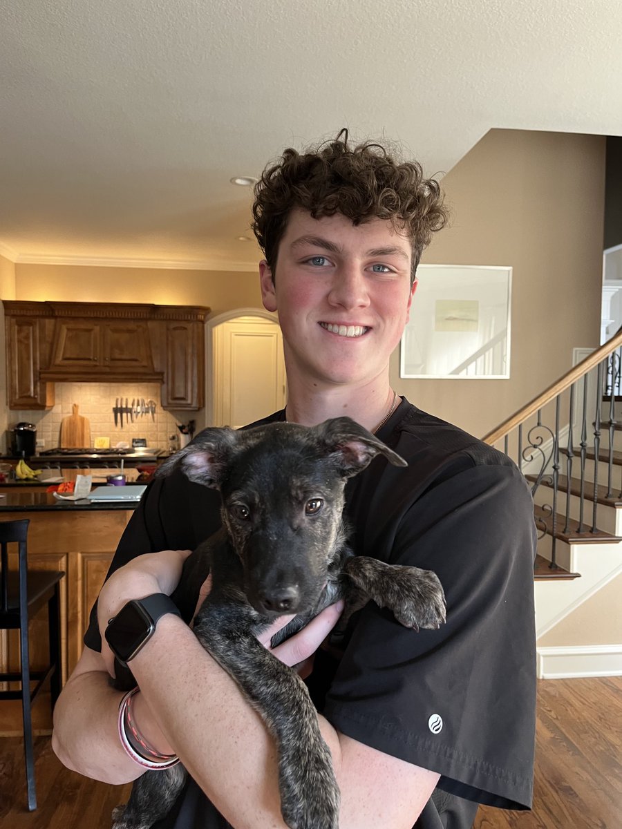 mfeighner23's tweet photo. Introducing our newest family member - Calbert. This puppy is smooth and chill, part of the reason behind naming him after our favorite Hoosier of all time ⁦@calbertcheaney⁩.
#iubb.  Can you believe someone put this angel in a trash bag and then a dumpster?  He’s home now. https://t.co/PfPGQnrIkt