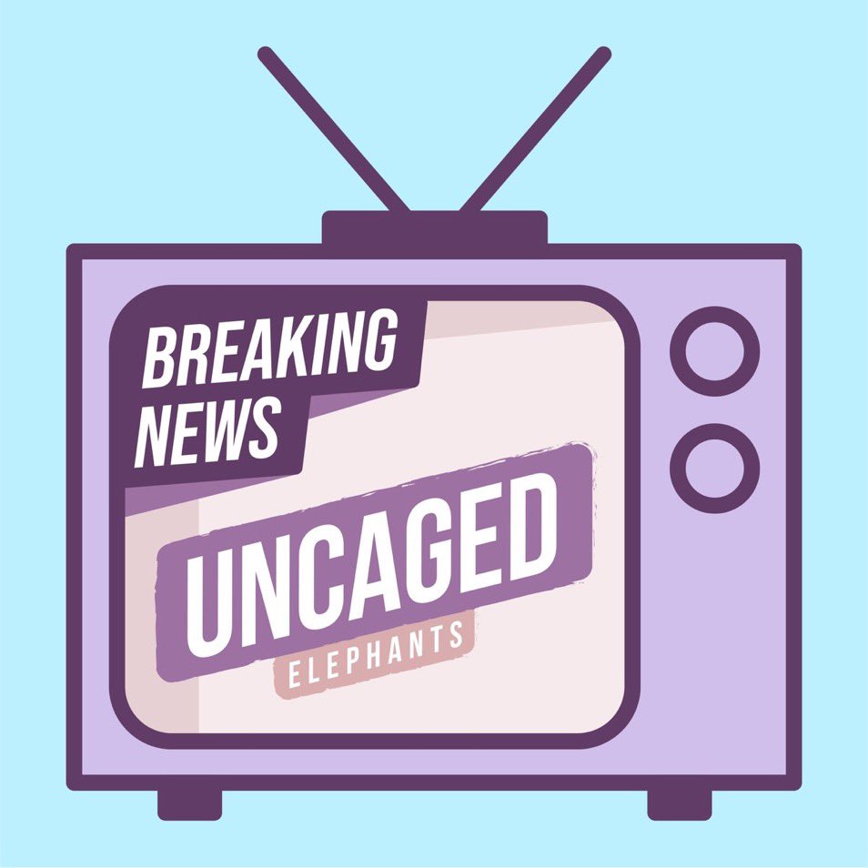 𝙿𝚁𝟶𝟷𝙵𝙸𝙲 tweet media