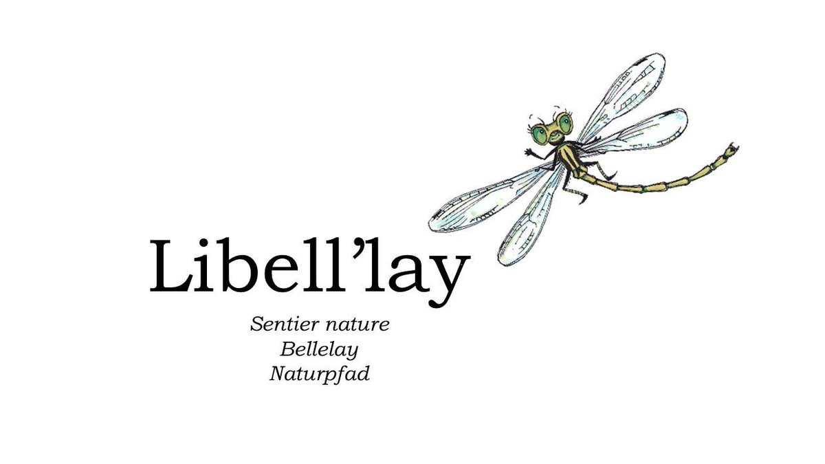 Sabine Previdoli (-Gasser) tweet media