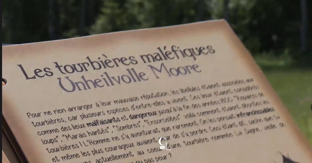 Sabine Previdoli (-Gasser) tweet media