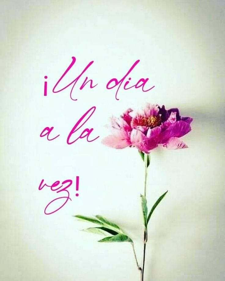 Feliz día