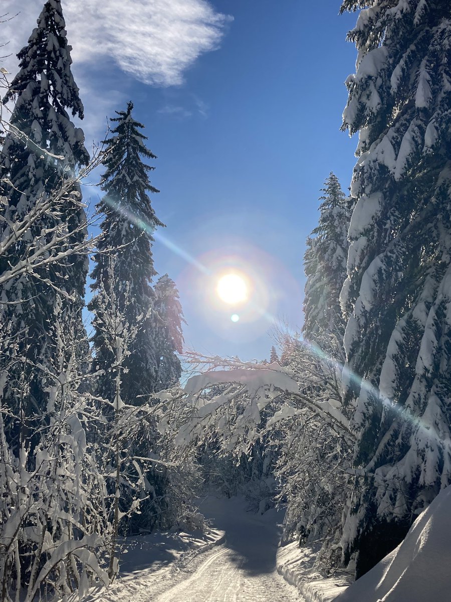 DidierPinel's tweet image. Grand jour pour les #perdir2022 qui savent enfin dans quelle académie ils feront leurs premiers pas dans ce beau métier. Heureux de savoir que certains rejoindront la belle et grande académie de Grenoble aux paysages contrastés. À bientôt pour la bienvenue !