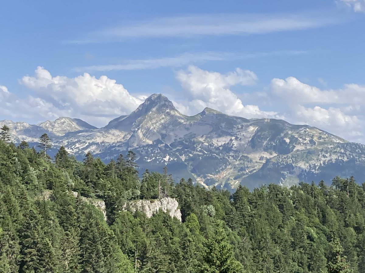 DidierPinel's tweet image. Grand jour pour les #perdir2022 qui savent enfin dans quelle académie ils feront leurs premiers pas dans ce beau métier. Heureux de savoir que certains rejoindront la belle et grande académie de Grenoble aux paysages contrastés. À bientôt pour la bienvenue !
