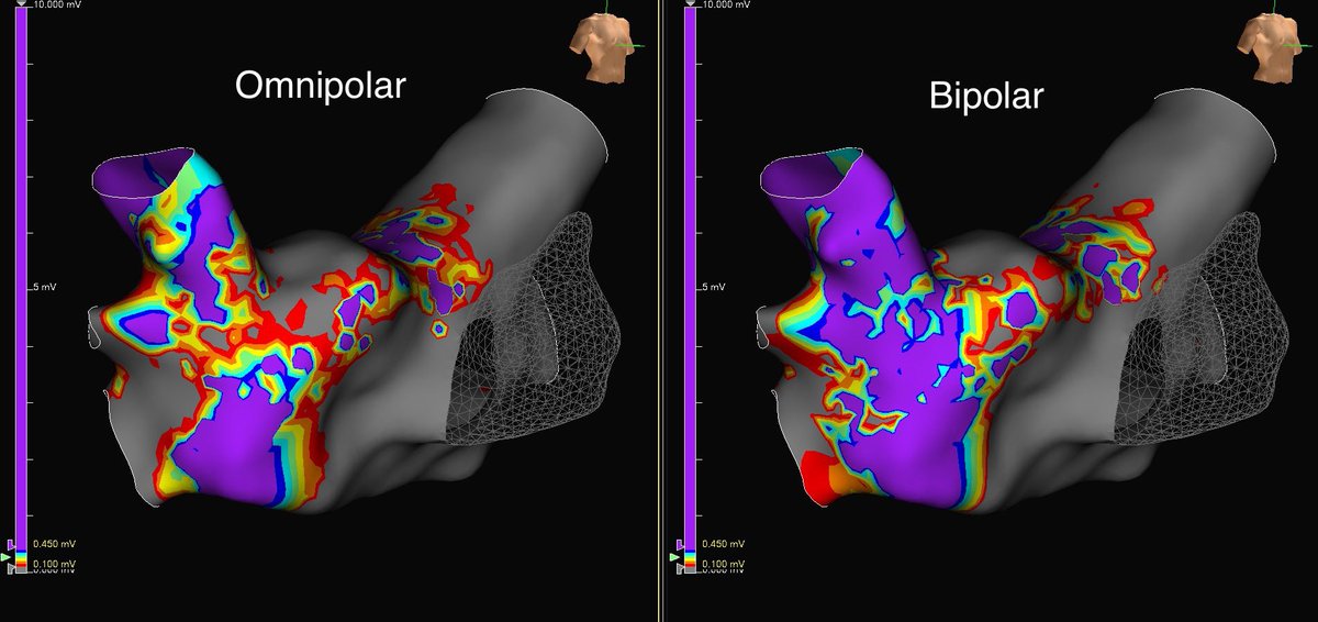 Alexander Karrip tweet media