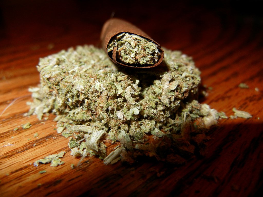 Hey ya #StonerFam 

Wishing you all a great day!

#weedsmokers #Peacelove #cannabisindustry #Stoner #CannabisCommunity