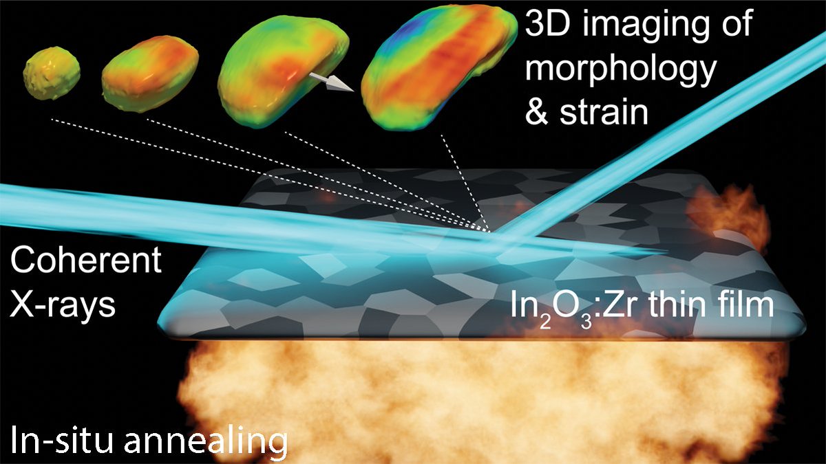 Dmitry Dzhigaev tweet media