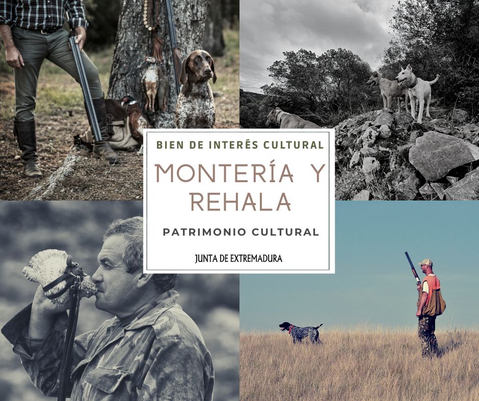 La <a href="/Junta_Ex/">Junta de Extremadura</a> declara Bien de Interés Cultural la Montería y la Rehala 🐕 en Extremadura, en la categoría de Patrimonio Cultural Inmaterial.
✅Tradición
✅Identidad
✅Economía
<a href="/JAGonzalez_78/">J. Antonio González</a>: "El sector cinegético genera empleo y riqueza, y fija población al territorio".