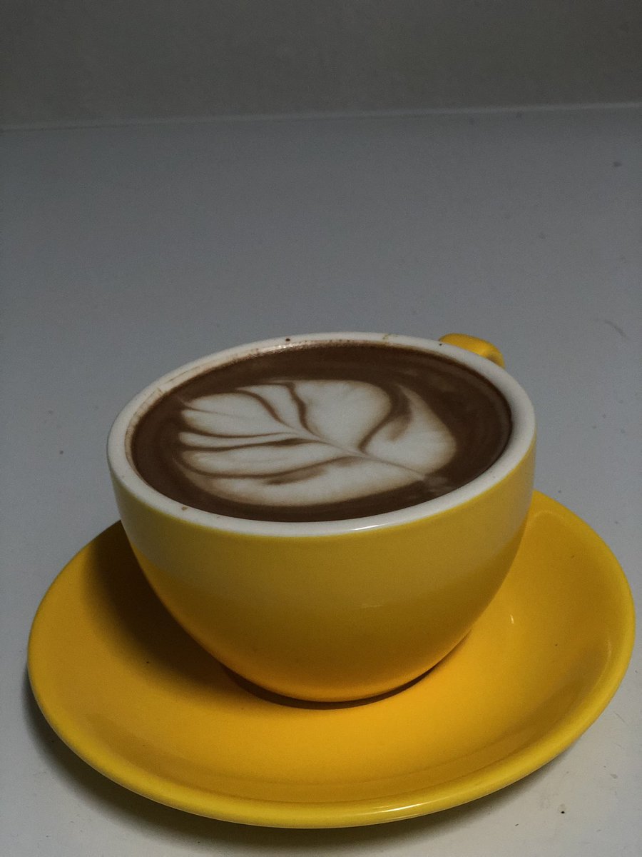 SyfiqJalil_'s tweet photo. Tulip yg tak berapa tulip https://t.co/yv1Ro1qpwI