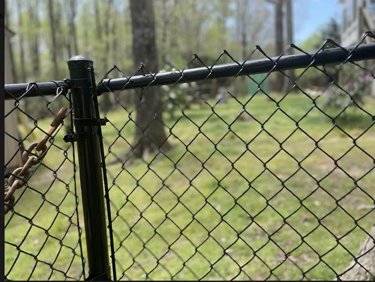 AccentFence's tweet photo. Low Upkeep Requirements for Chain Link Fences.  Chain link fences may be maintained in a variety of ways.  #fencemaintence #chainlinkfence https://t.co/5ty107lyXj https://t.co/2I2IzzCyhZ