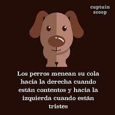 PanchitoPancoe's tweet photo. #roma3 #pancoe19 #holapancoe https://t.co/2sFJebPkfR