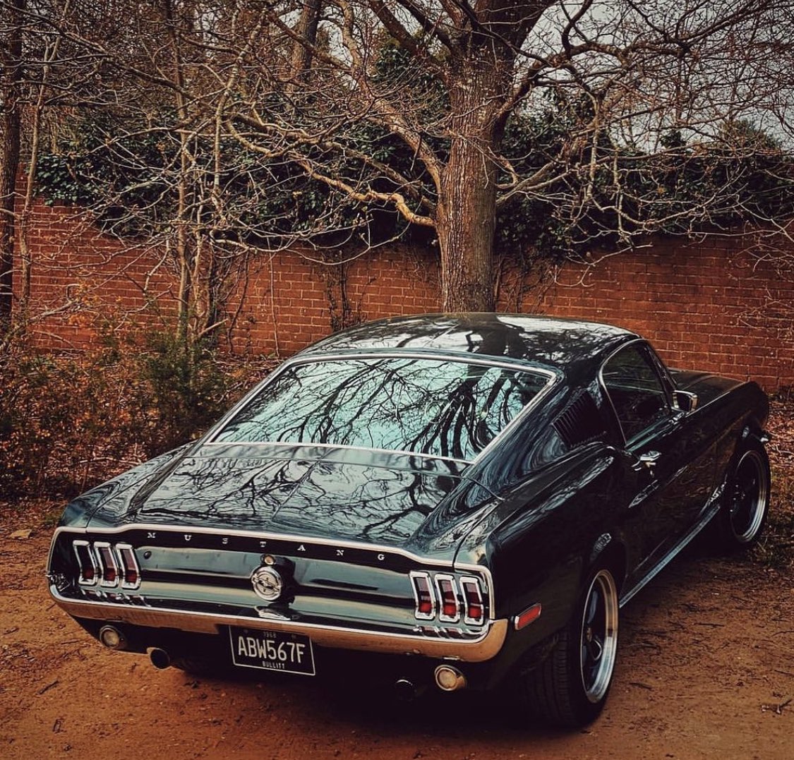 Moss green beautiful #fastback. Check out 1500+ incredible pics@on our IG feed. <a href="/MustangPodcast/">The Mustang Podcast</a> instagram.com/p/CeyZujPLNEK/…
