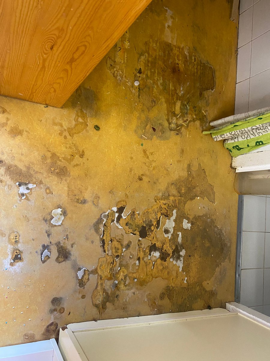 AFI Bellaterra tweet media