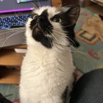 Photo by Ben (suidroot@infosec.exchange) (@suidroot)