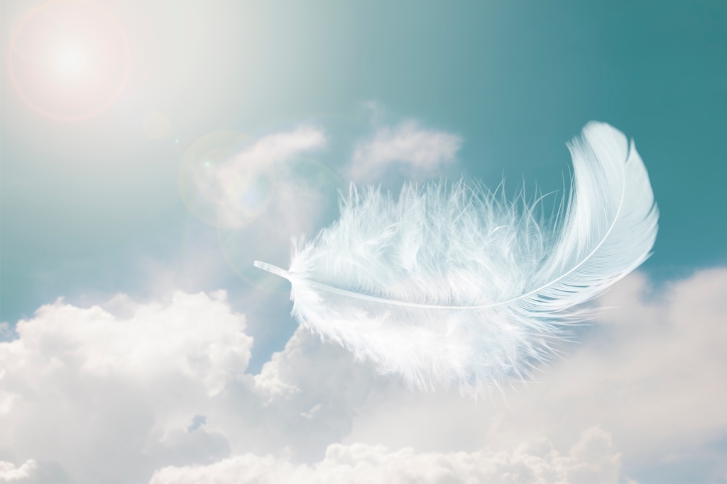 PsychicPages's tweet photo. A #MagicFeather bringing you #Strength and #Joy https://t.co/Xzfc3GQ9UG