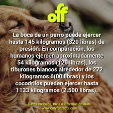 PanchitoPancoe's tweet photo. jajajajjaajajajaj laaaam 
#roma3 https://t.co/ORHdh4zzrM