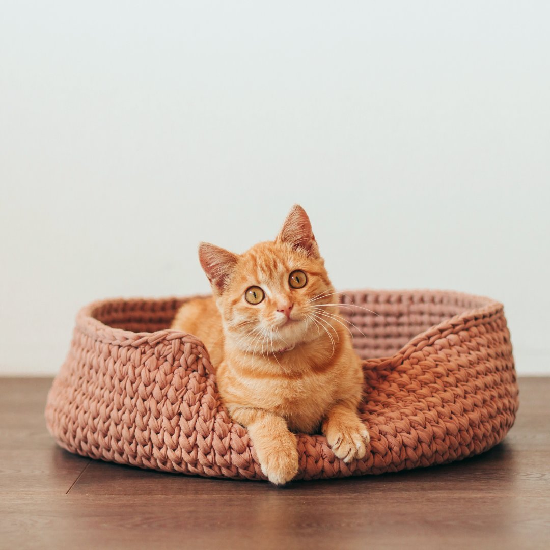 Helpling.fr tweet media