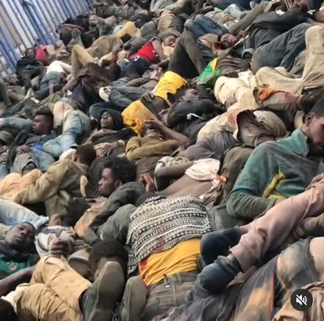 El Paso tweet media