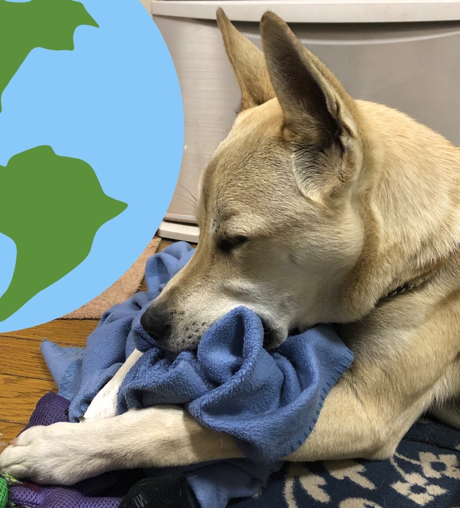 Haru ぶっちー Haru08syoutai Twitter