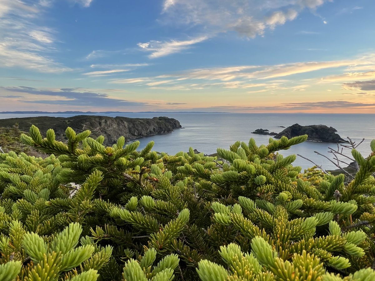 Summer sunset in Crow Head, NL 😍 #CangeoTravel #ExploreCanada #Twillingate