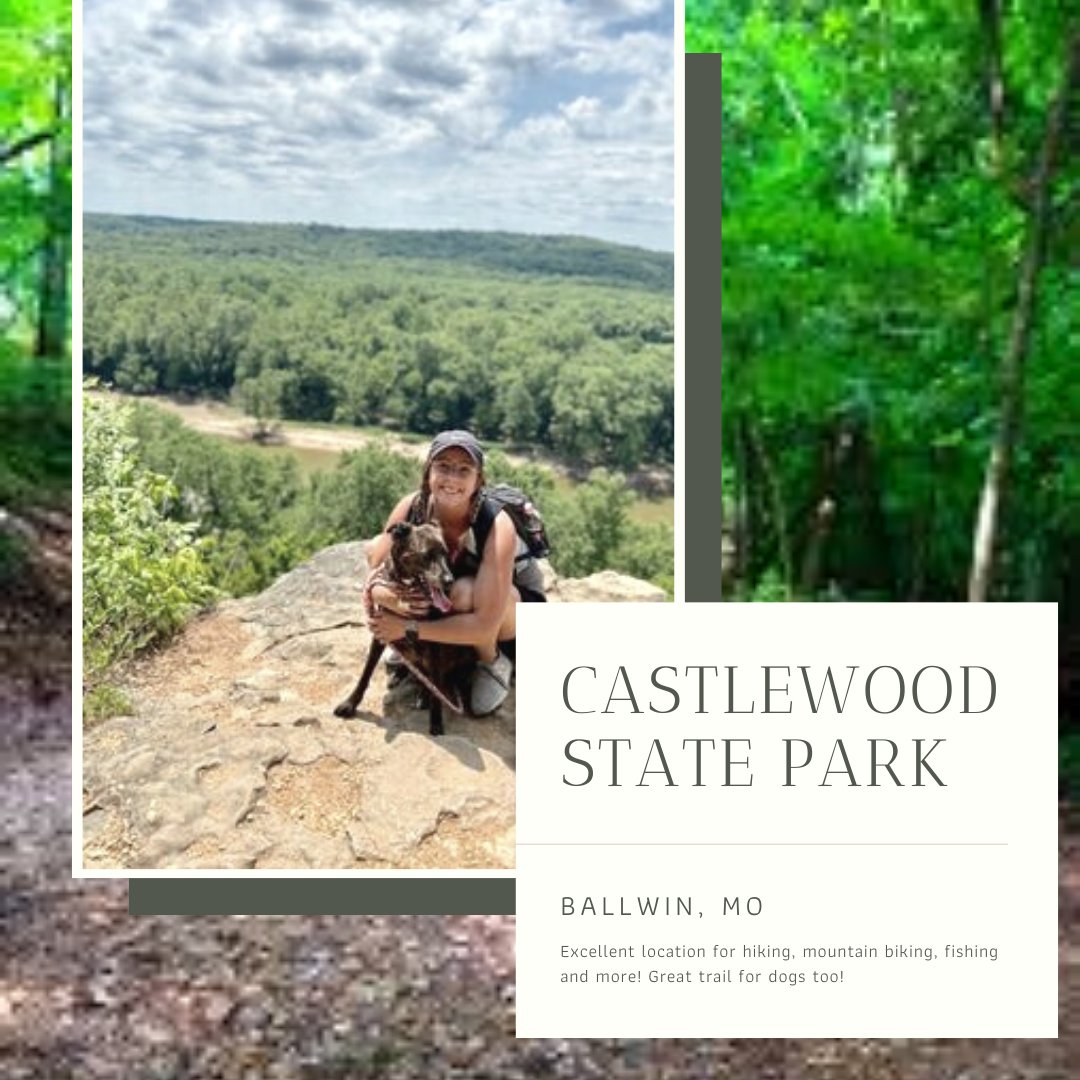 EVilleFitness's tweet photo. Trainer @morganashleycavaiani hitting the trails at Castlewood State Park!
Possibly interested in a group hike? Talk to Morgan in the gym and we can schedule something!
#outdoorlife #wilderness #exploremore
#RepItLocal #EvilleFitness #Local #LocalGym #Edwardsville https://t.co/hQfj83CcON