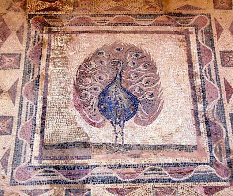 RT @archaeologyart: Peacock mosaic,  House of Dionysos, Paphos, Cyprus. Date: Roman, 2nd or 3rd Century AD. https://t.co/bdbvPSvquK