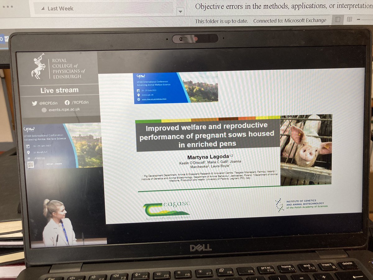 LABoyle2's tweet image. Our very own @MartynaLagoda @TeagascPig presents PhD findings from #sowweanwel showing how improved dry sow housing improves #sowperformance as well as #sowwelfare #winwin #onewelfare