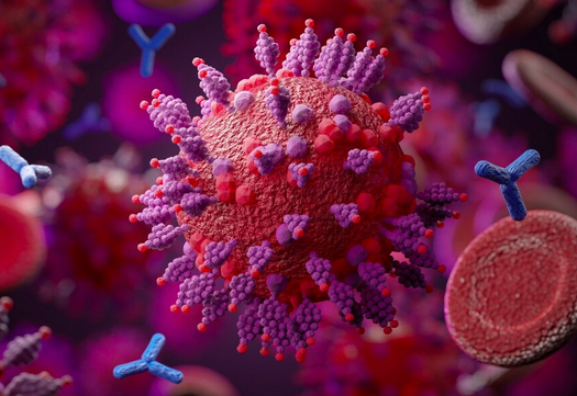 MarcGozlan's tweet photo. Sur 'Réalités Biomédicales' : 
⏩ BA.4 et BA.5 ont une grande capacité à échapper aux anticorps induits par la vaccination et l’infection https://t.co/IeiW2PtzOk
⏩ Le renforcement immunitaire par Omicron dépend de l’exposition antérieure au SARS-CoV-2 https://t.co/nnfYedH1C1 https://t.co/ucGBdYzYpo