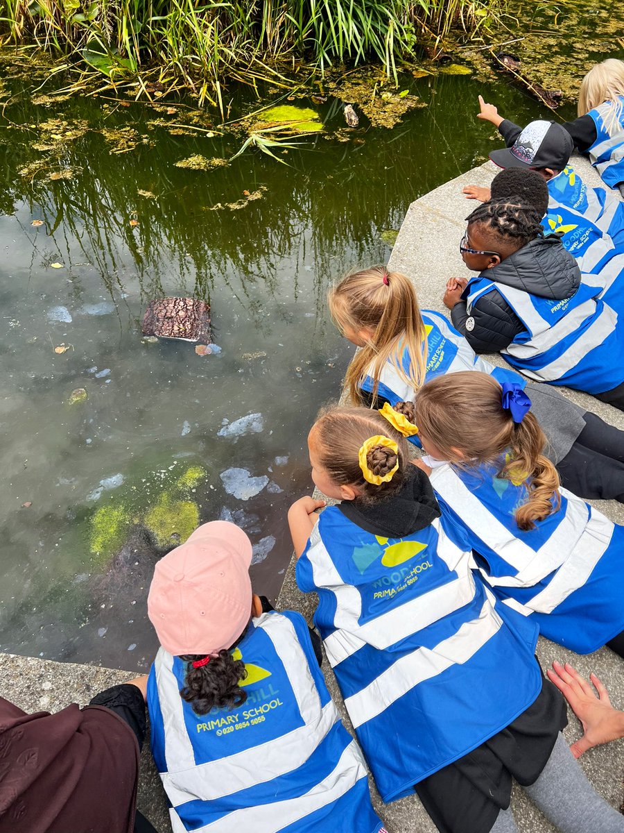 Acorns enjoyed an amazing trip to the farm today 💙 <a href="/woodlandsft/">Woodlands Farm Trust</a> <a href="/WoodhillSch/">Woodhill Primary School</a> <a href="/WoodhillSci/">Woodhill Science</a>
