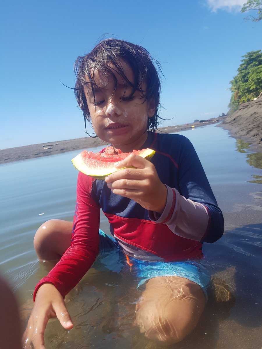 lil3108's tweet photo. Mi primera cosecha 🥰 mi mini surfers mi Ramsés Alejandro mi tico tico. https://t.co/gXjyP8BAbL