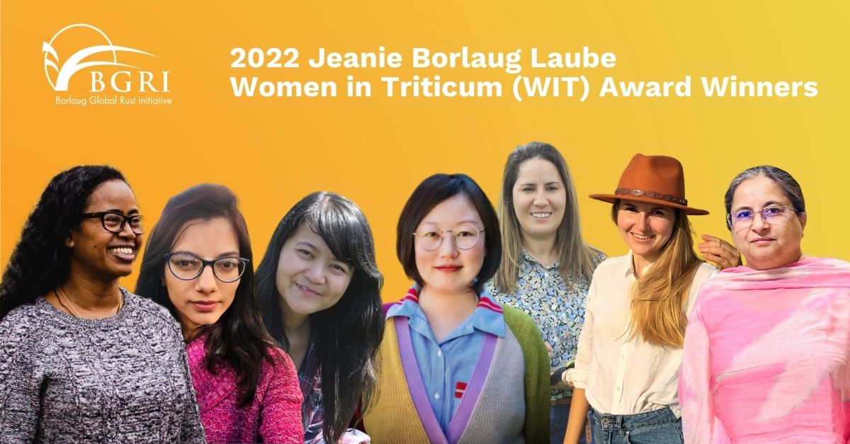 globalrust's tweet photo. We are thrilled to announce the 2022 Jeanie Borlaug Laube Women in Triticum (WIT) Awards in honor of seven wheat scientists working to protect food security around the world. #WheatWIT22 

🔶https://t.co/5b74XLrRTW https://t.co/dm80yQ0ed7