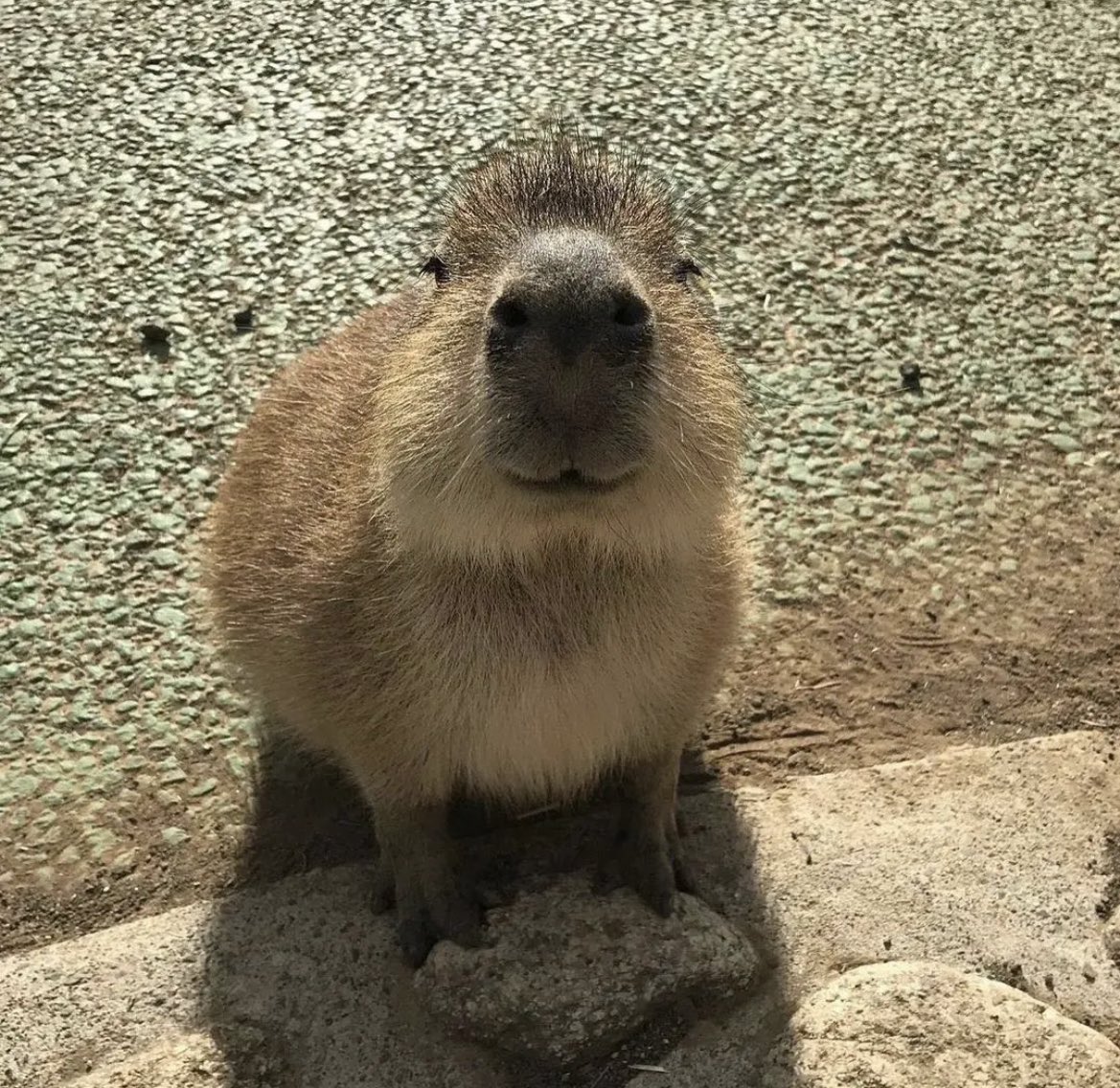 Luna (@lunaa) on Twitter photo 