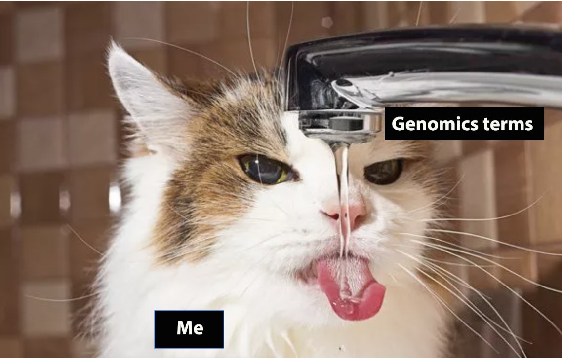 genome_gov's tweet photo. New genomics terms just dropped! Do you want to learn the basics of genomics while also keeping up with the latest research? Our talking glossary is filled with cool terms to quench your thirst for knowledge. https://t.co/I2CxMC7tUc https://t.co/vDDUeiekHA