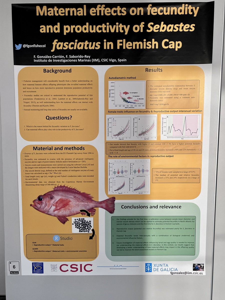 fgonfishecol's tweet photo. Last week we carried out the third kind of “Encounters” in the #IIM
We provide insights into how #maternaleffects and #climatechange interact with #fecundity and #productivity in #Sebastes
#ecology https://t.co/7SWQbuyp1q