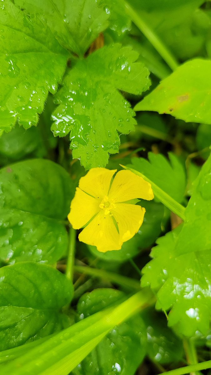 Project E3 tweet media