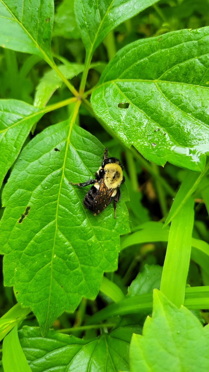 Project E3 tweet media