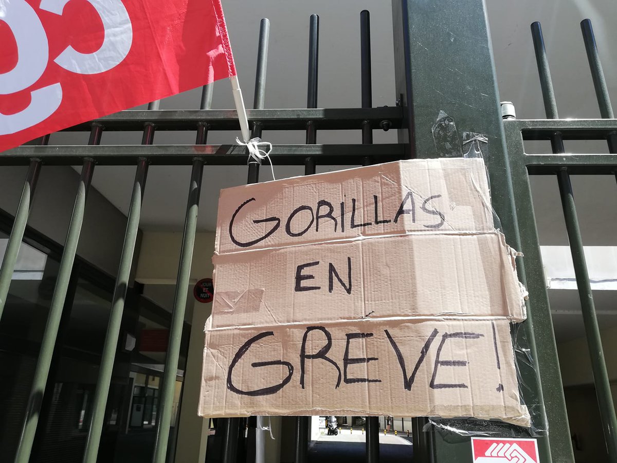 USCDSP_CGT's tweet photo. Victoire pour les salariés #gorillas du warehouse Bastille! Communiqué à venir sur notre page FB. https://t.co/TUmXpkRHgf