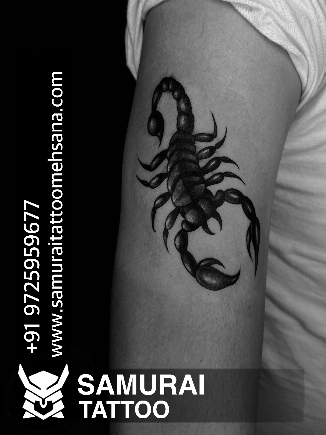 Scorpion Tattoo Vector Illustration Decorative Design Stock Vector   Illustration of design patterns 189994912