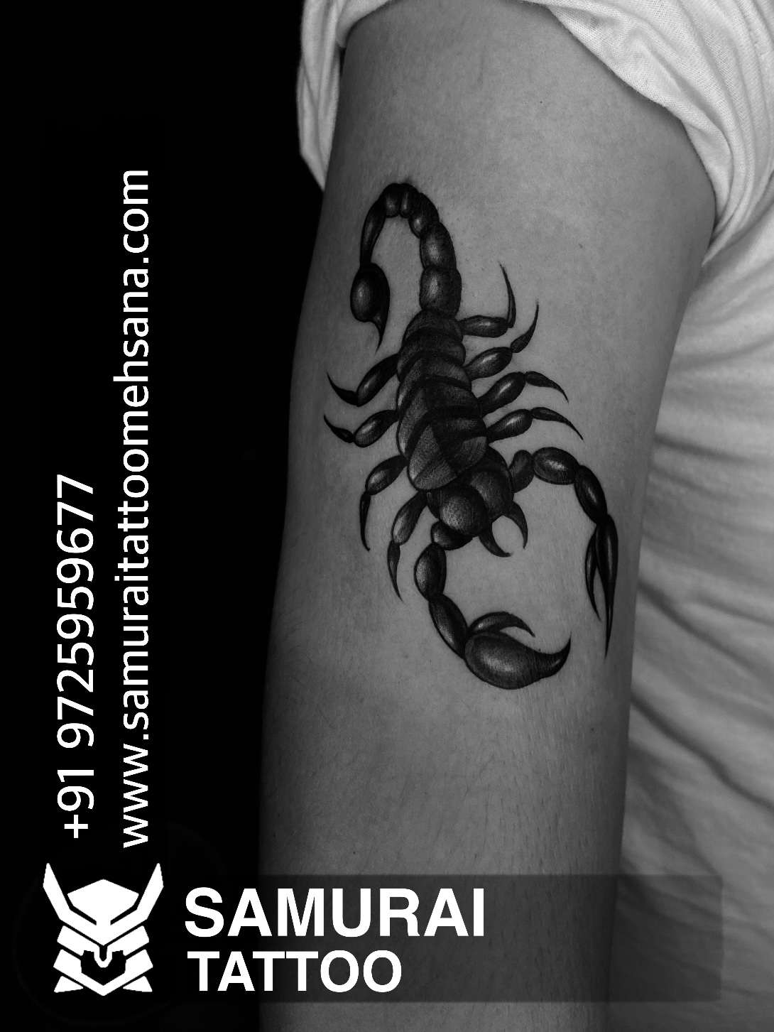 Scorpio Tattoos Images  Browse 7941 Stock Photos Vectors and Video   Adobe Stock