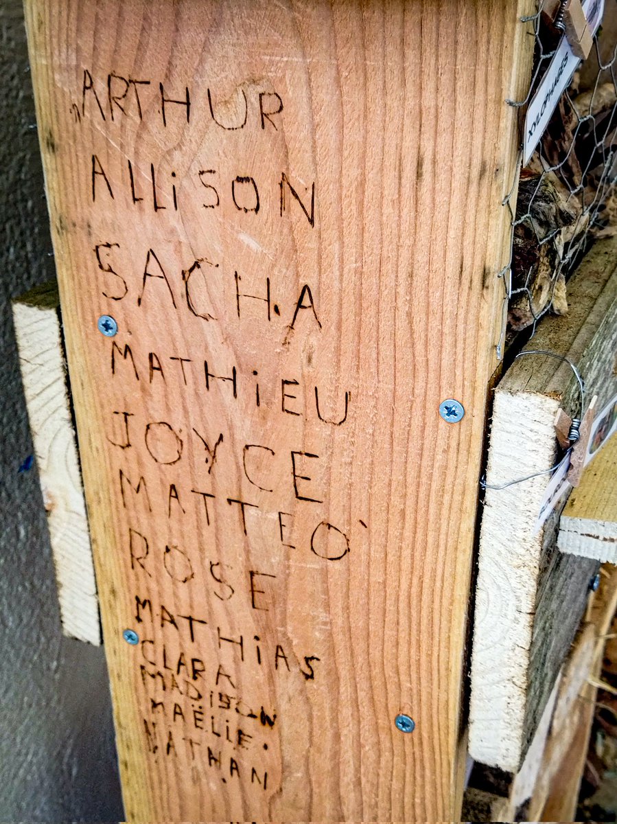 GirardetScience's tweet photo. La construction des hôtels à insectes avance 🪛🪚 
Il faudra trouver un lieu dans le @clgBouligny pour les installer. https://t.co/DCxt9T2g9Z