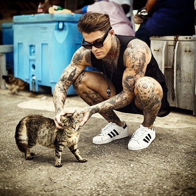 Fun fact:

Lex 𝑎𝑑𝑜𝑟𝑒𝑠 cats.