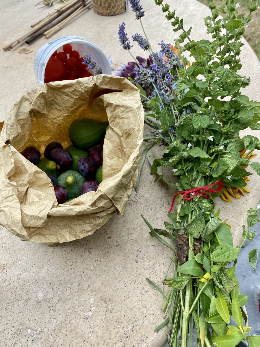 A dear friend came bearing gifts from her “orto” (allotment garden). So beautiful. ❤️