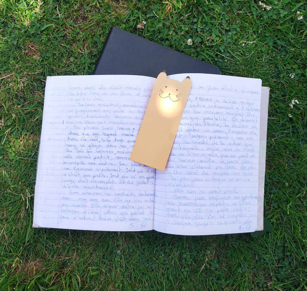 Rose_P_Katell's tweet photo. Le recopiage de Syrine et Laria, ma dernière nouvelle, est en cours 📖🤗
#Recopiage #Nouvelle #Ecriture #Autrice #AE #Imaginaire #SFFF #Merveilleux #WebPubli #WebFiction #Bientôt #Nouveau https://t.co/Ef0t26BAvb