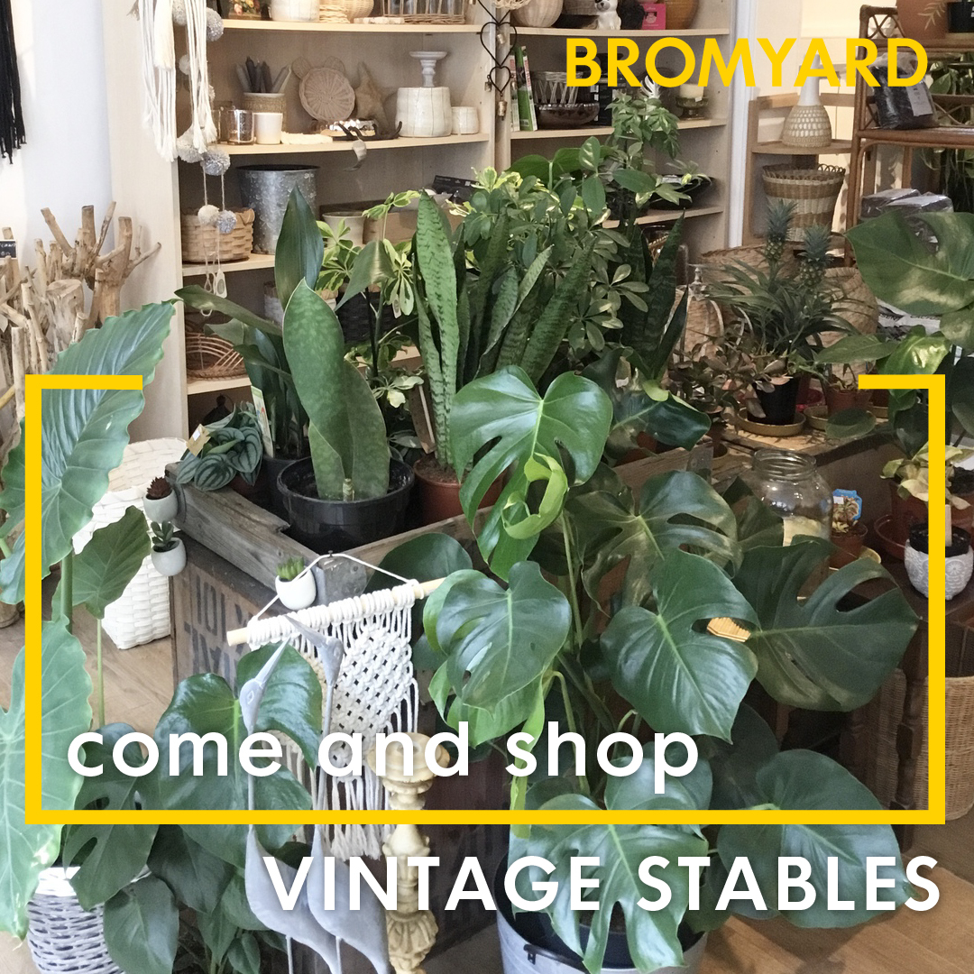 At number 41 Broad Street in Bromyard, you will find Vintage Stables, a veritable Aladdin's cave of houseplants 🌵

You will find pots, baskets, macrame and handmade decorations for your home. It's a truly beautiful shop and a welcome addition to Bromyard's bustling High Street.