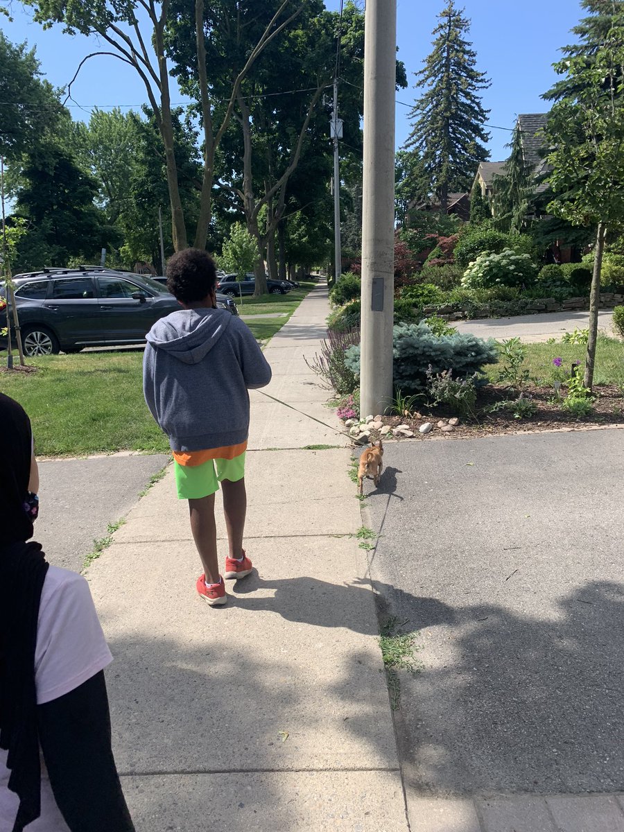 rachellstanding's tweet photo. Such an awesome morning! Charlie came by for a visit and students took turns walking her.#perfectmornings #2daysleft @BessboroughEMS https://t.co/LC44QBRfcI