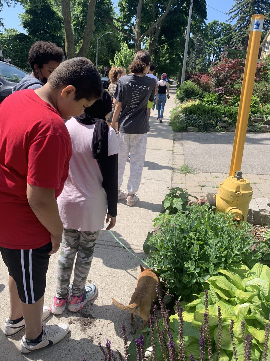 rachellstanding's tweet photo. Such an awesome morning! Charlie came by for a visit and students took turns walking her.#perfectmornings #2daysleft @BessboroughEMS https://t.co/LC44QBRfcI
